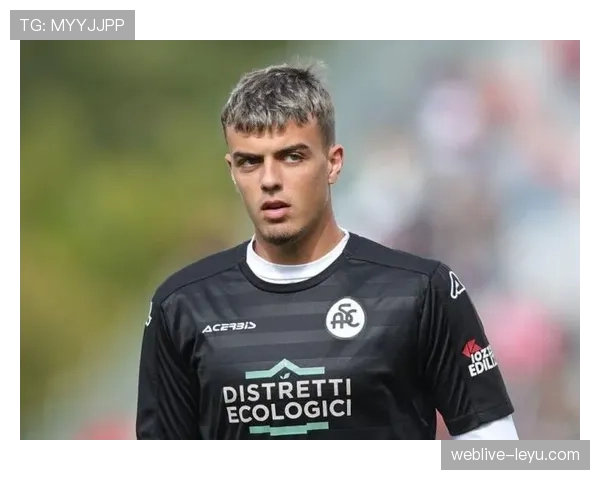 马尔蒂尼以智慧与坚韧重塑现代防线核心价值