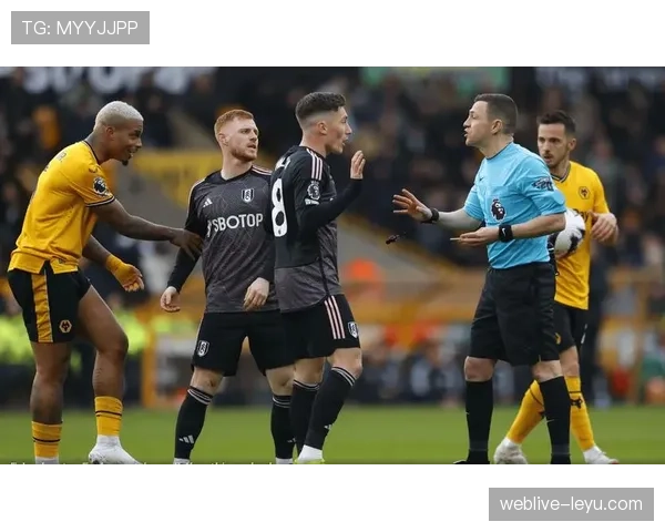 富勒姆持续补强阵容，新赛季能否冲击佳绩引期待